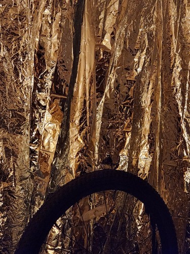 Giant trance black - x, 29"